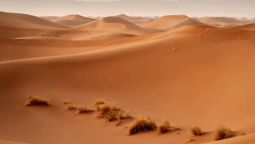 Embark on a Moroccan Adventure: Exploring the Diverse Landscapes