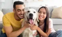 Rising pet health costs drive growth and innovation in insurance market