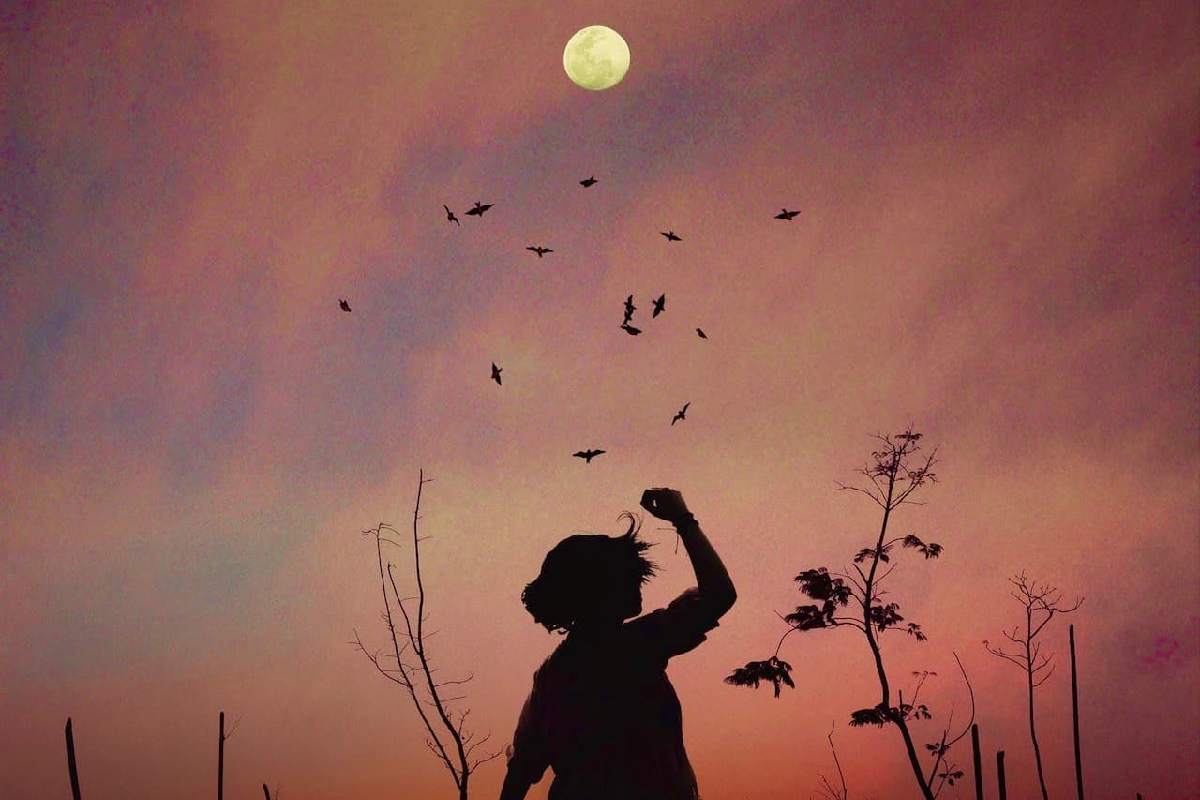 The Art of Letting Go and Letting Nature Thrive